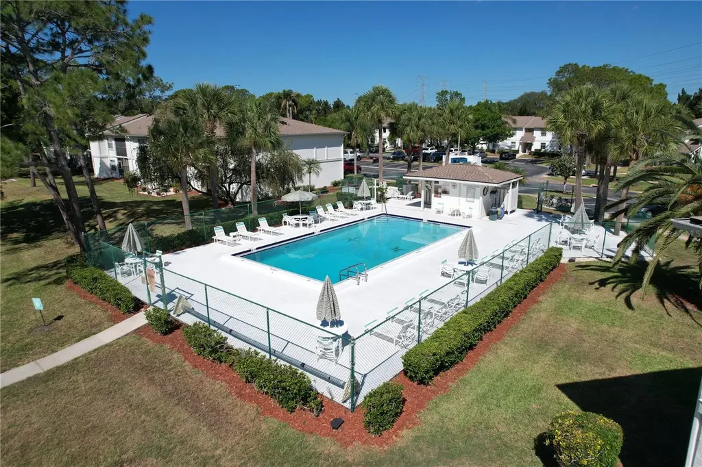202 Meadow Lane Oldsmar FL 34677