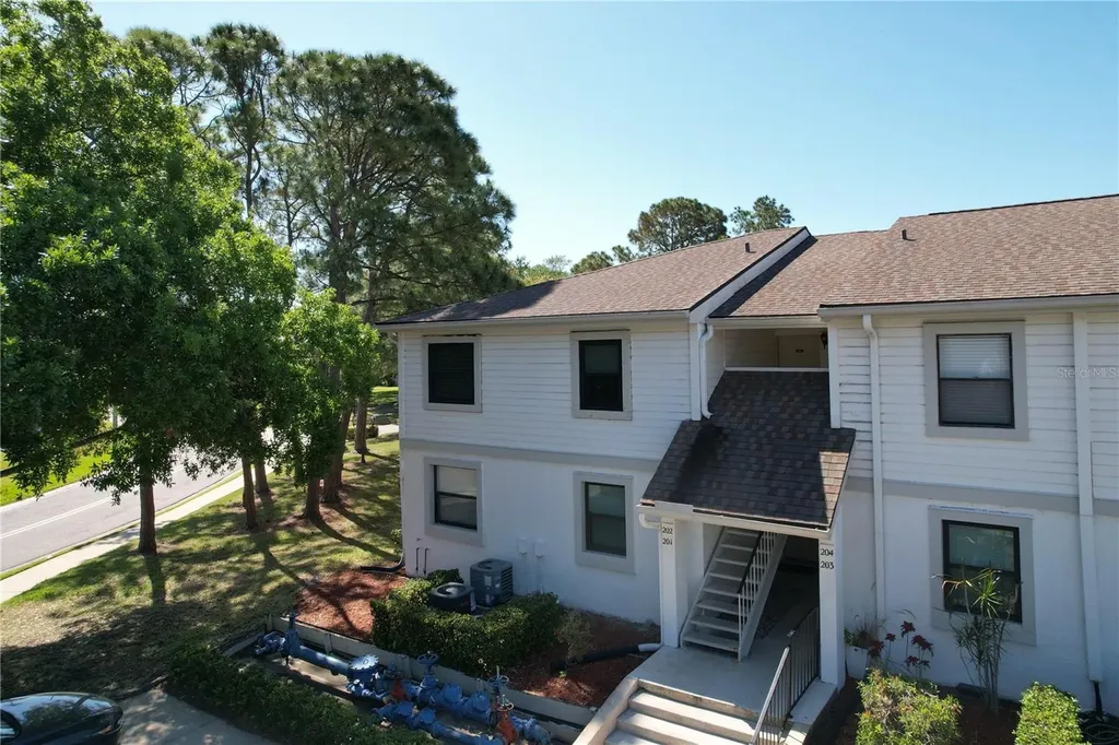 202 Meadow Lane Oldsmar FL 34677