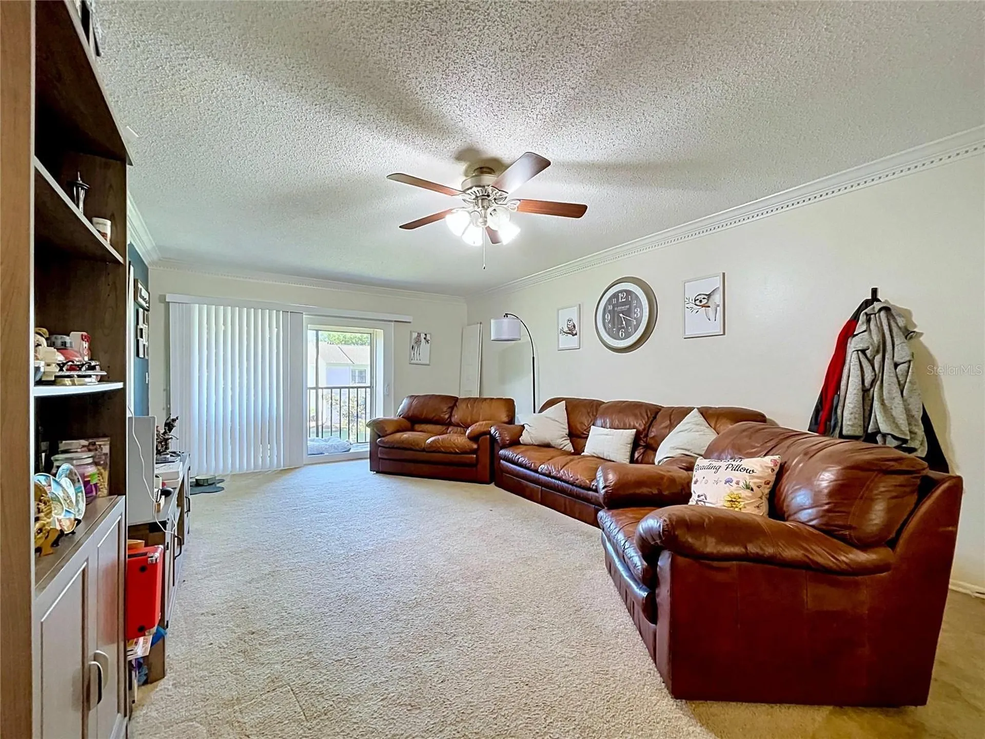 202 Meadow Lane Oldsmar FL 34677