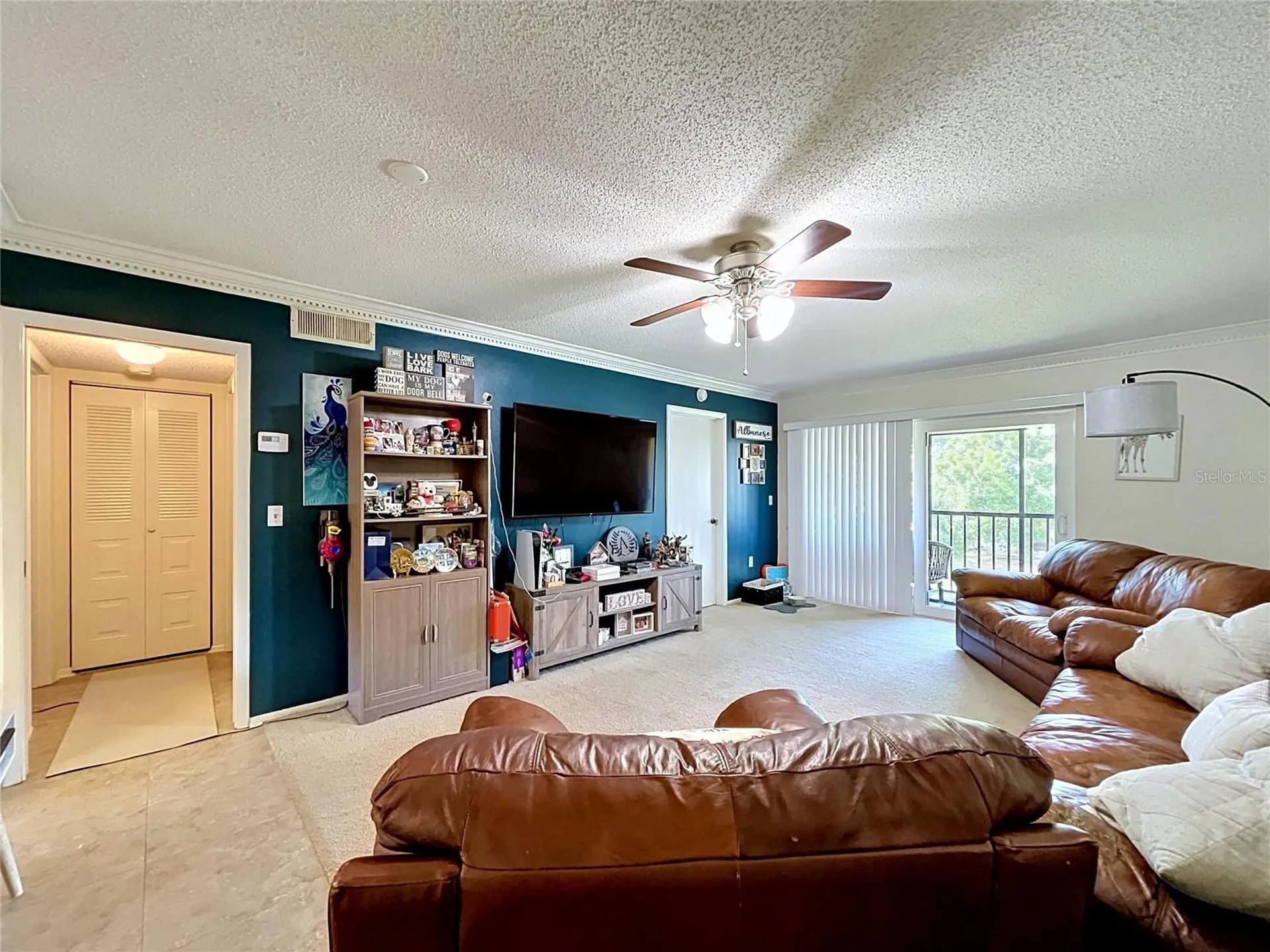 202 Meadow Lane Oldsmar FL 34677