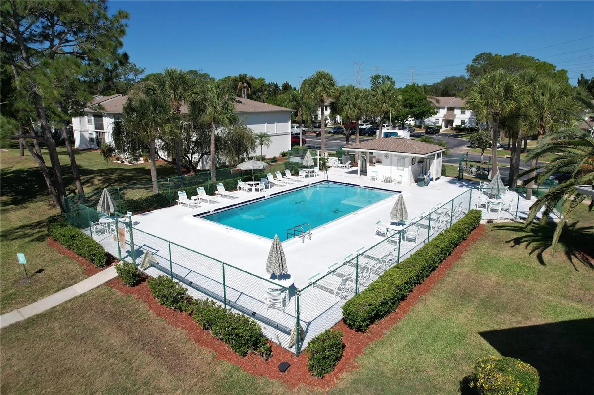 202 Meadow Lane Oldsmar FL 34677