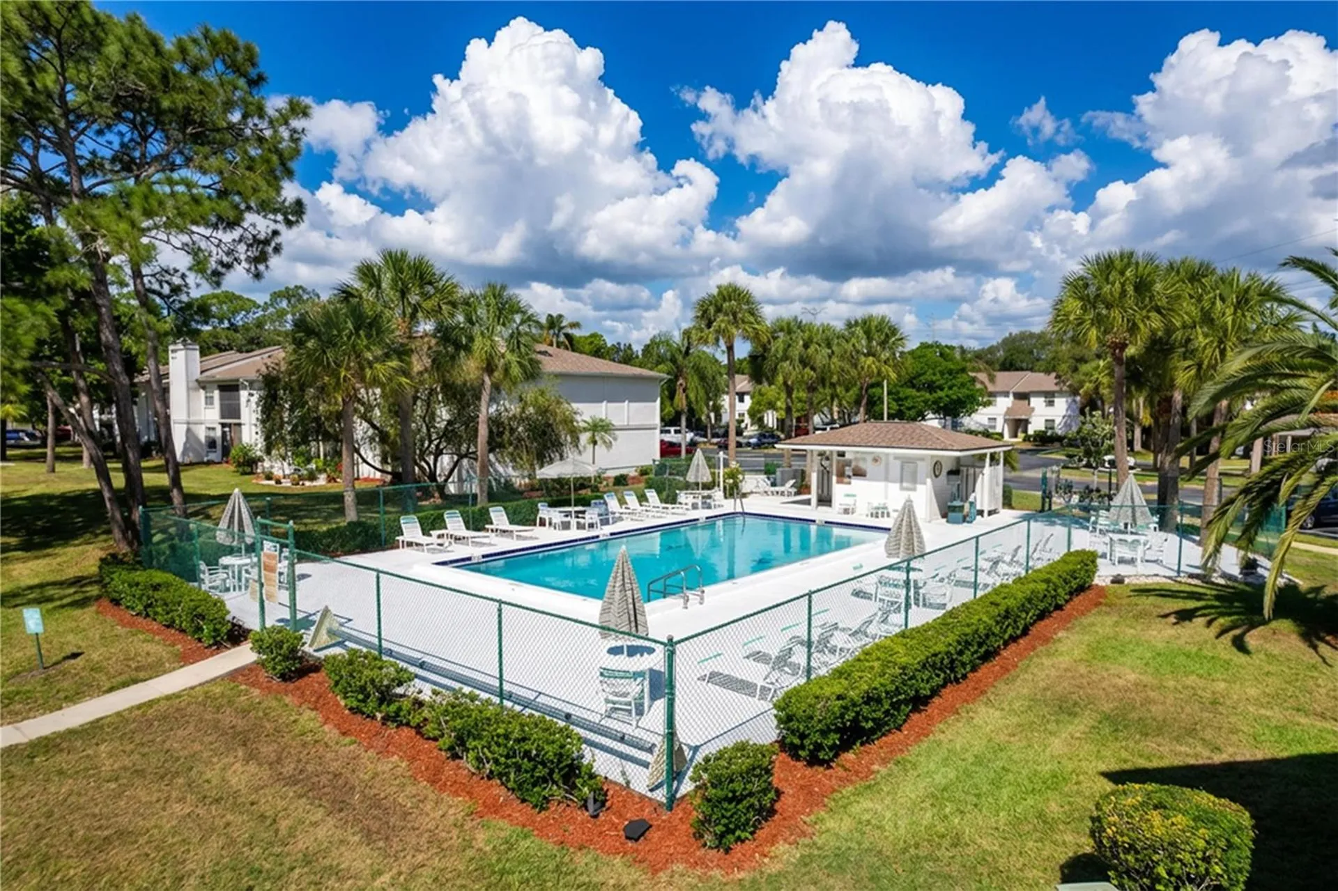 202 Meadow Lane Oldsmar FL 34677