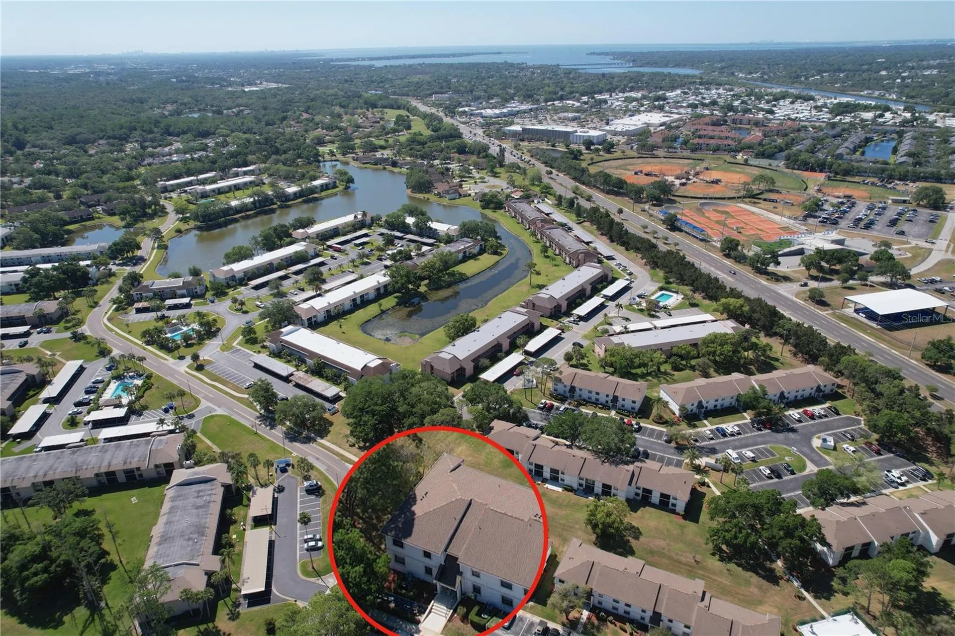 202 Meadow Lane Oldsmar FL 34677