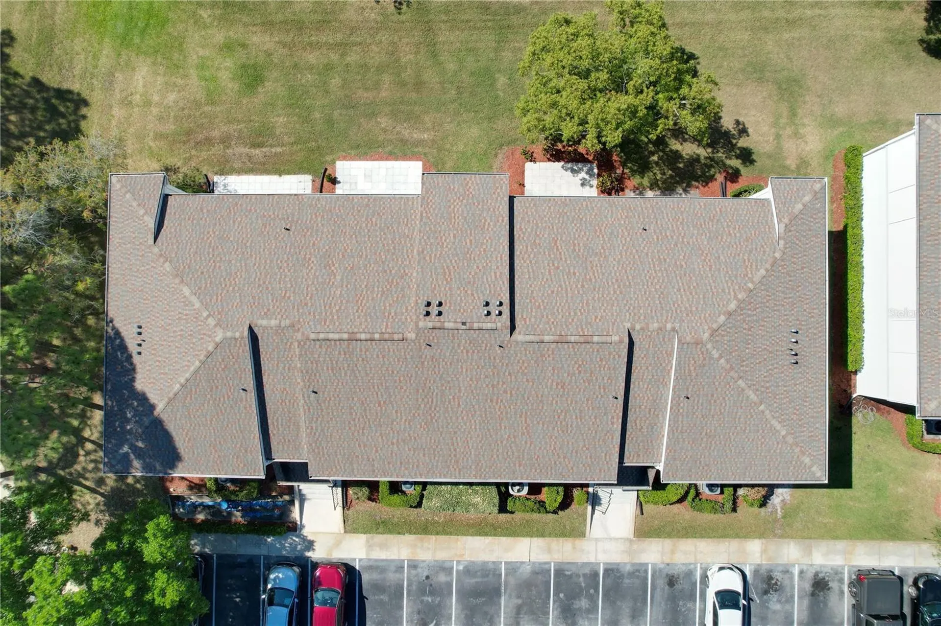 202 Meadow Lane Oldsmar FL 34677