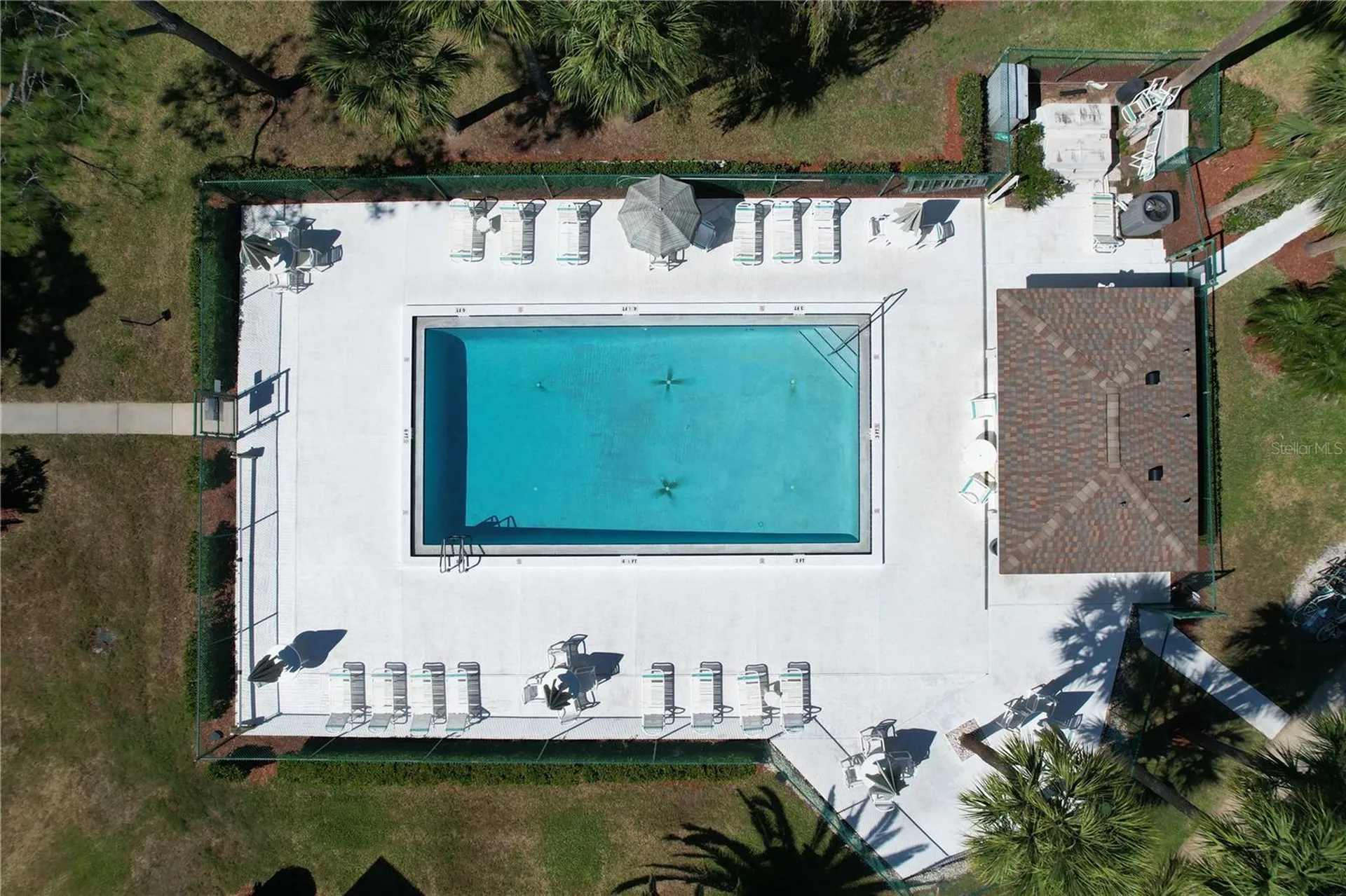 202 Meadow Lane Oldsmar FL 34677