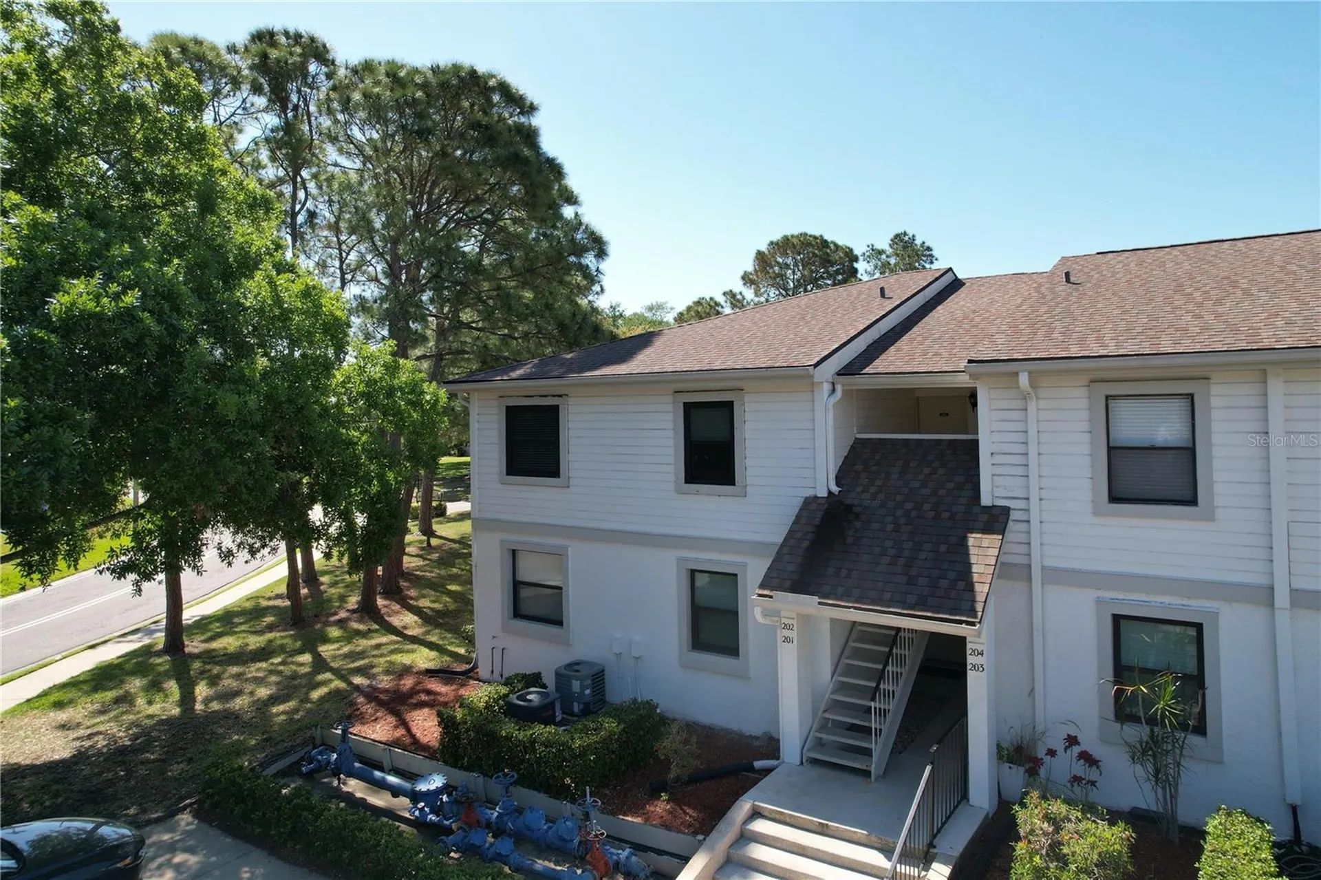 202 Meadow Lane Oldsmar FL 34677