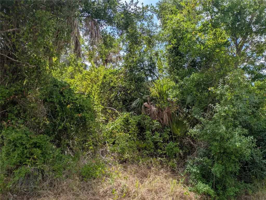 7396 Widmer Street Port Charlotte FL 33981