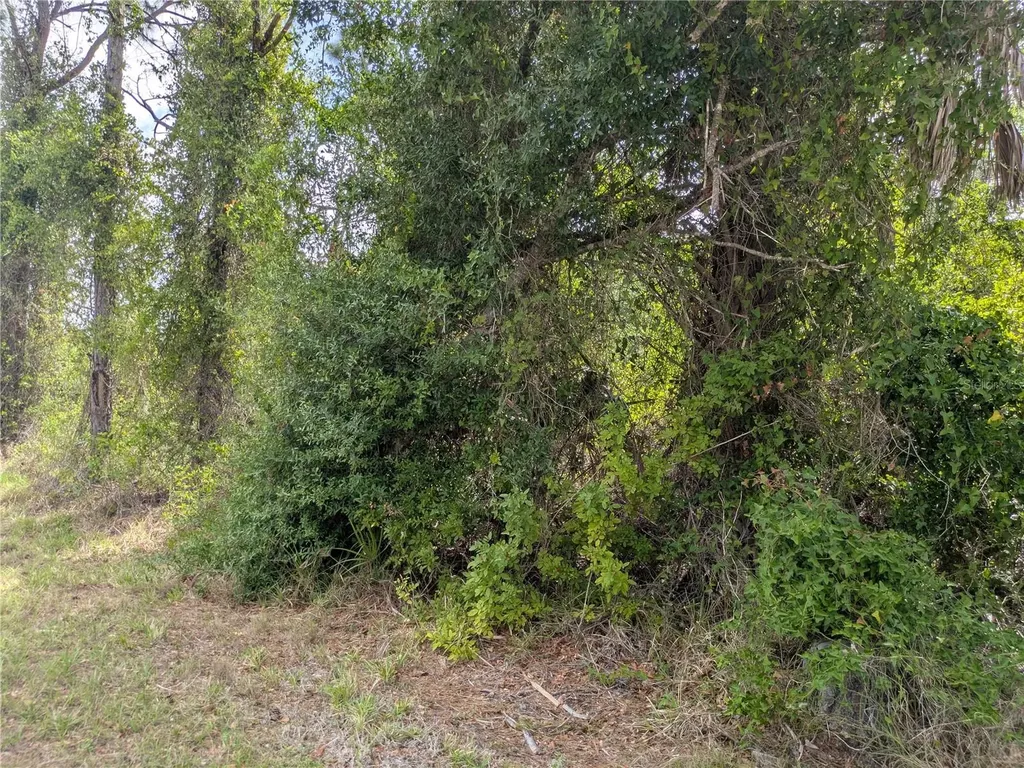 7396 Widmer Street Port Charlotte FL 33981
