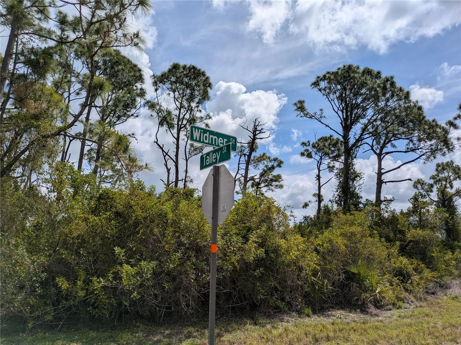 7396 Widmer Street Port Charlotte FL 33981