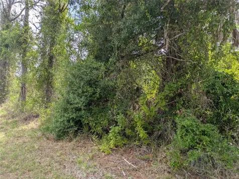 7396 Widmer Street Port Charlotte FL 33981