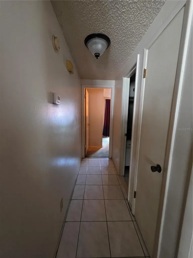 10113 Timber Oaks Court Tampa FL 33615
