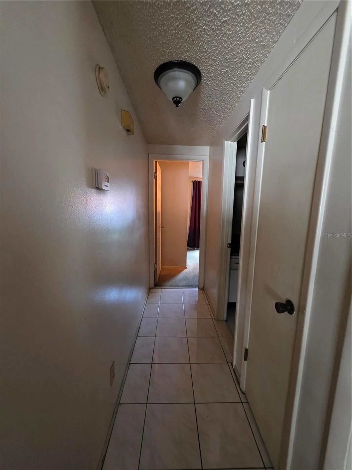 10113 Timber Oaks Court Tampa FL 33615