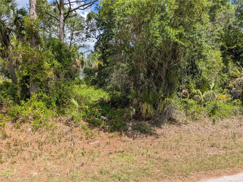 Delight Avenue North Port FL 34288