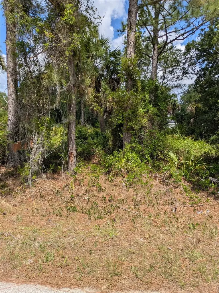 Delight Avenue North Port FL 34288