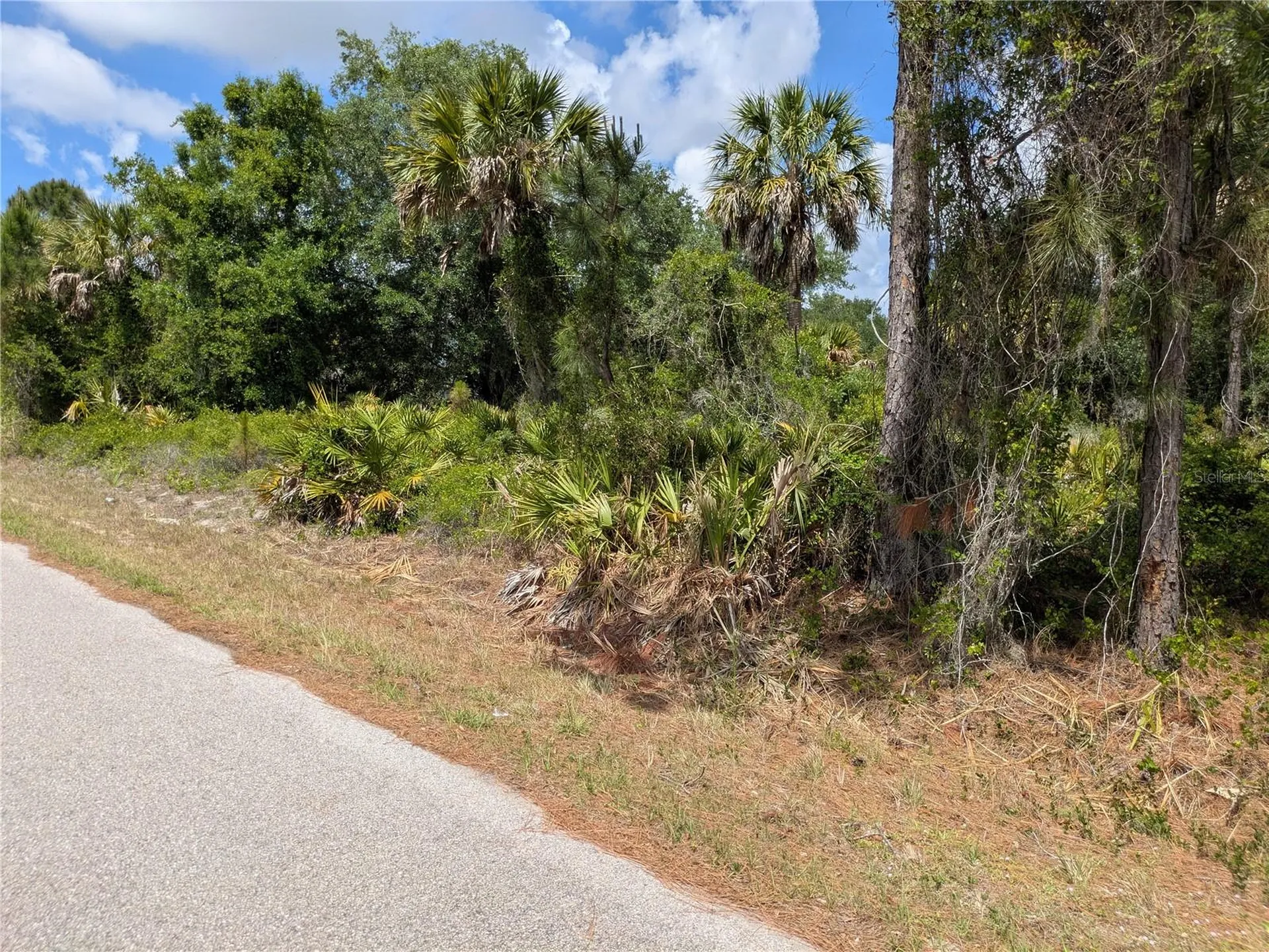 Delight Avenue North Port FL 34288