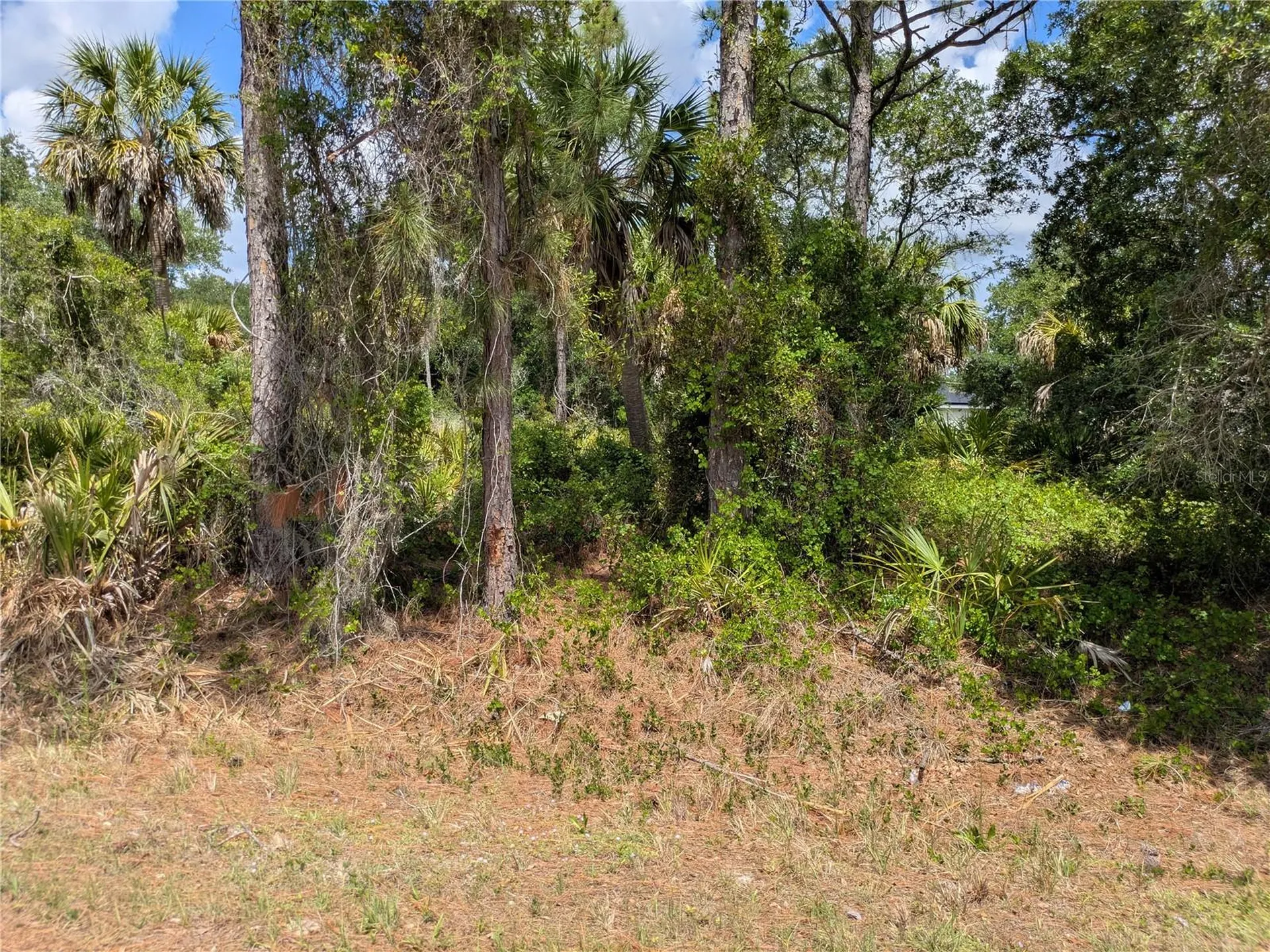 Delight Avenue North Port FL 34288