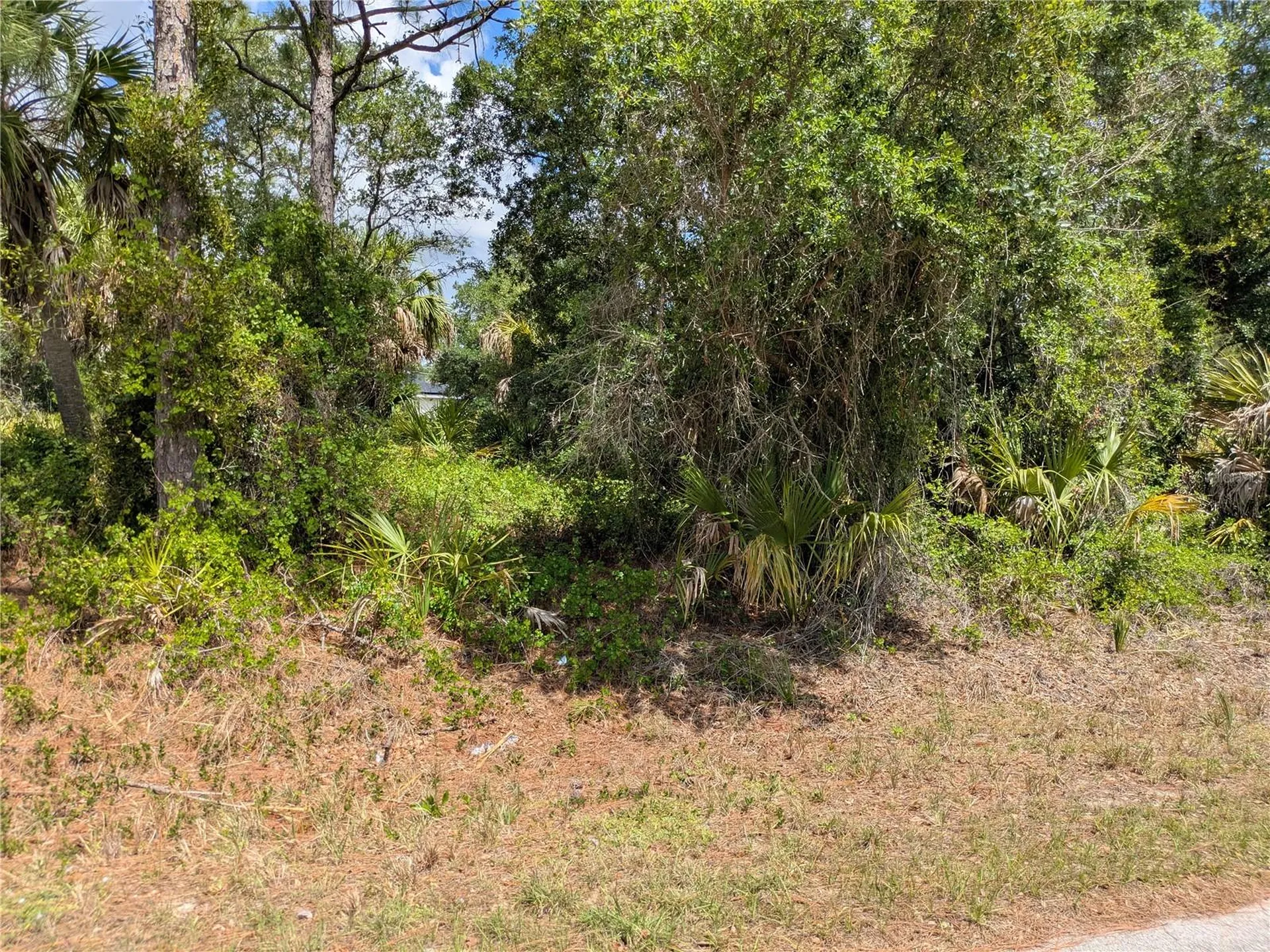 Delight Avenue North Port FL 34288