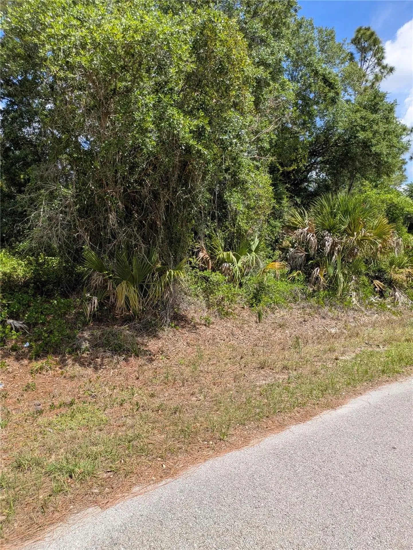 Delight Avenue North Port FL 34288