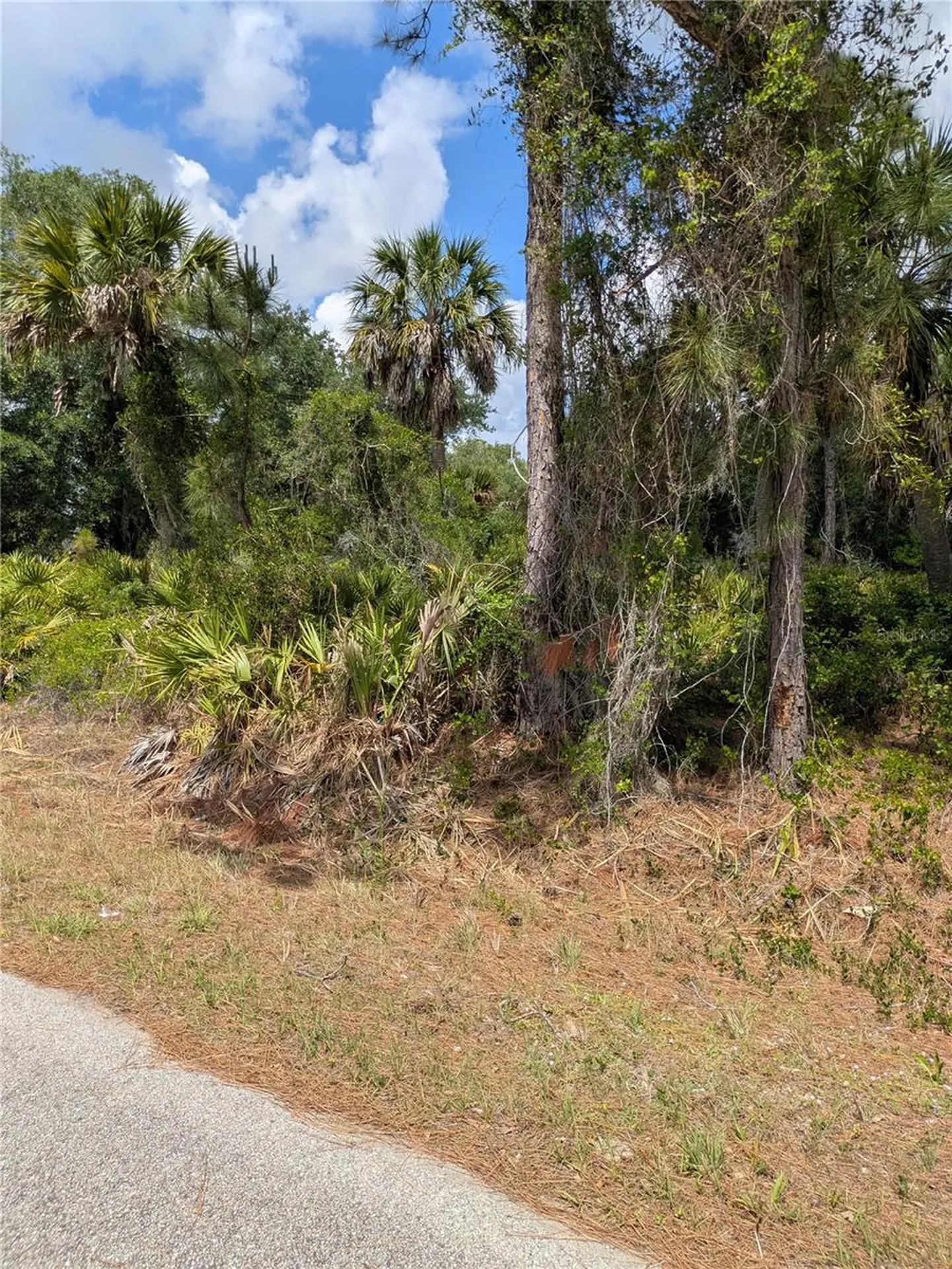 Delight Avenue North Port FL 34288