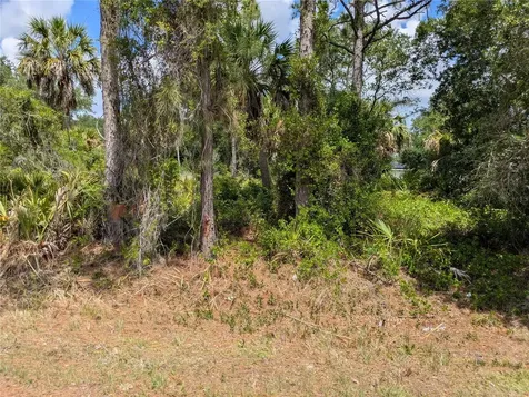 Delight Avenue North Port FL 34288