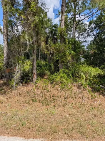 Delight Avenue North Port FL 34288