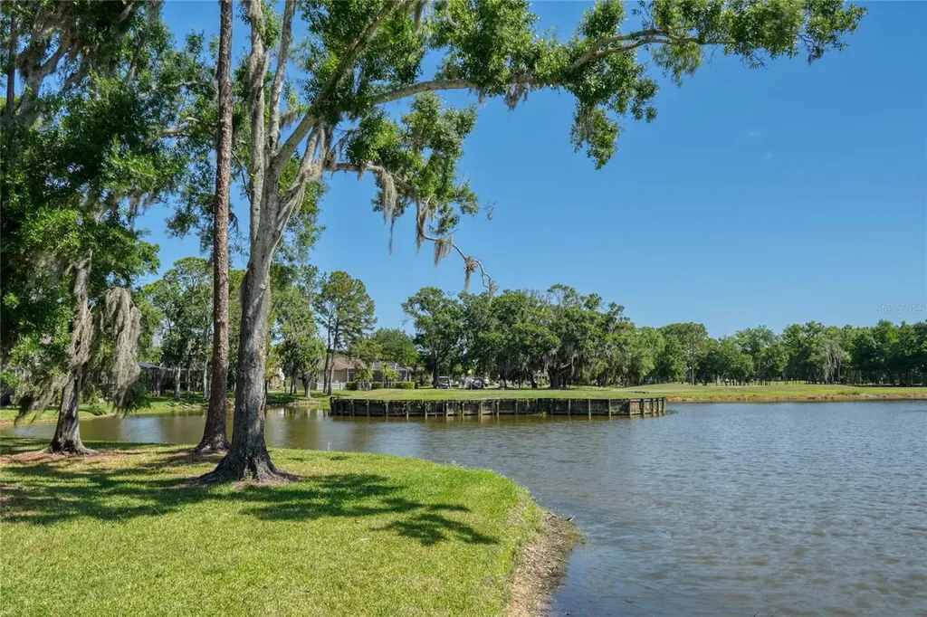 15501 Kingsmill Place Odessa FL 33556