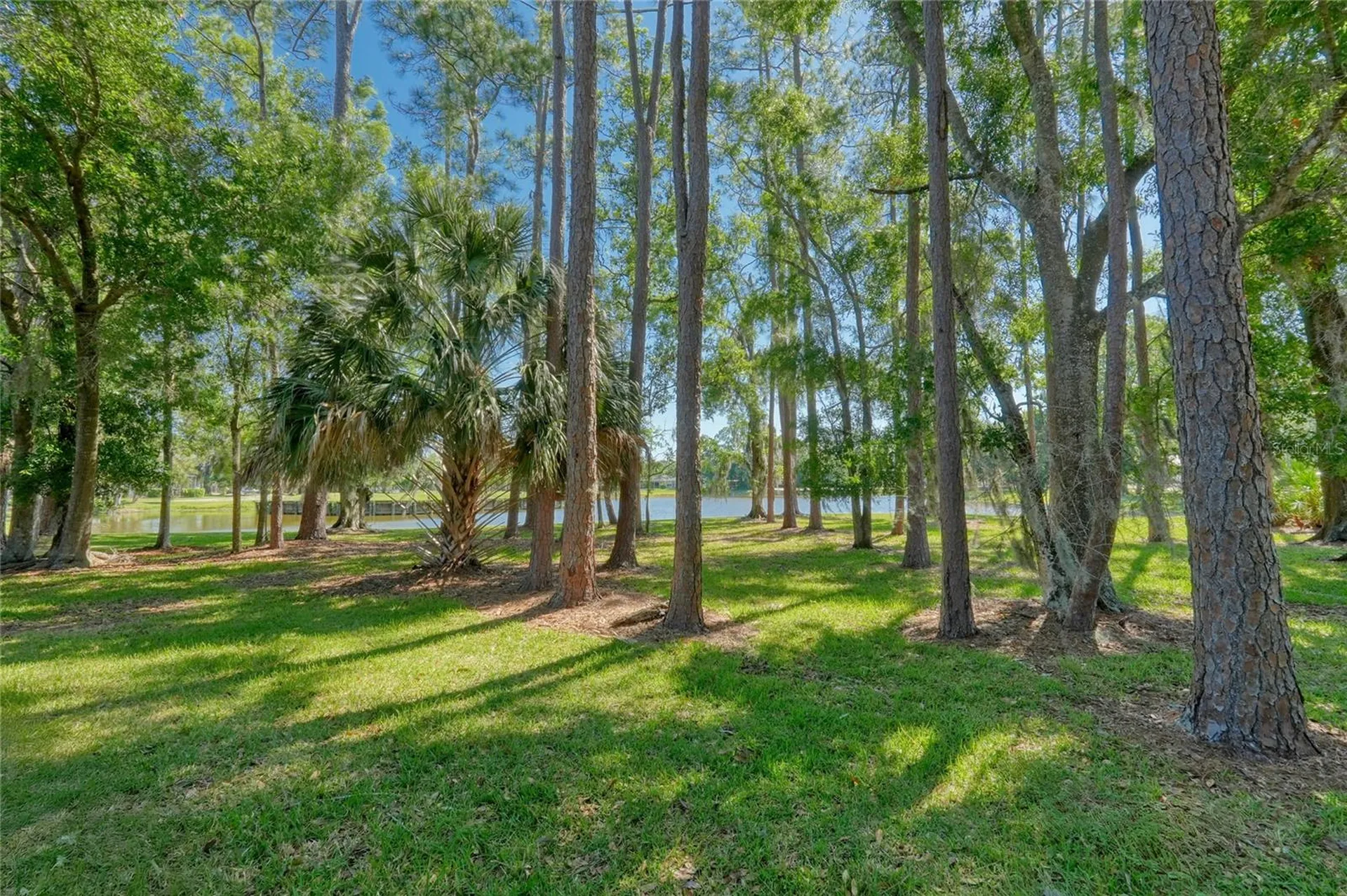 15501 Kingsmill Place Odessa FL 33556