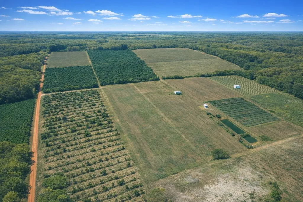 900 Buffum Church Road Fort Meade FL 33841