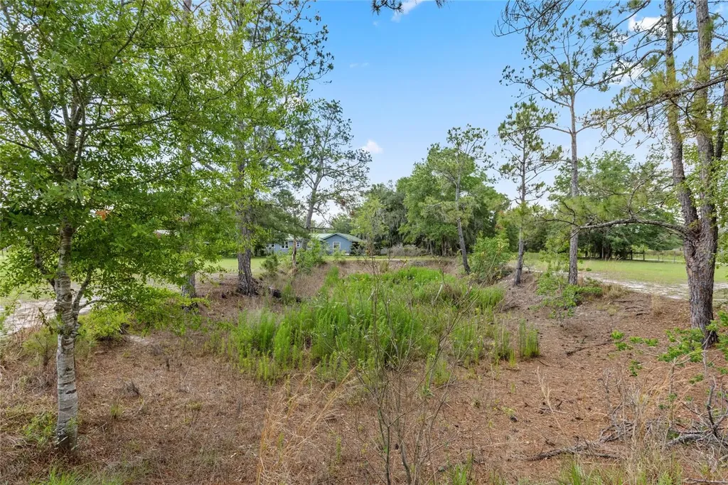 11115 SW 105th Street Brooker FL 32622