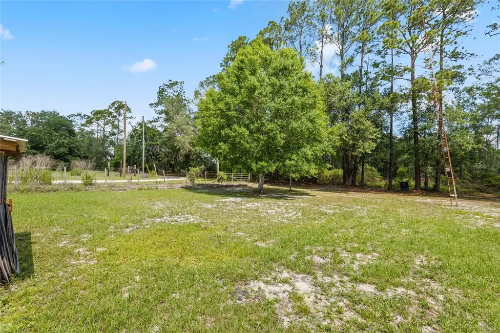 11115 SW 105th Street Brooker FL 32622