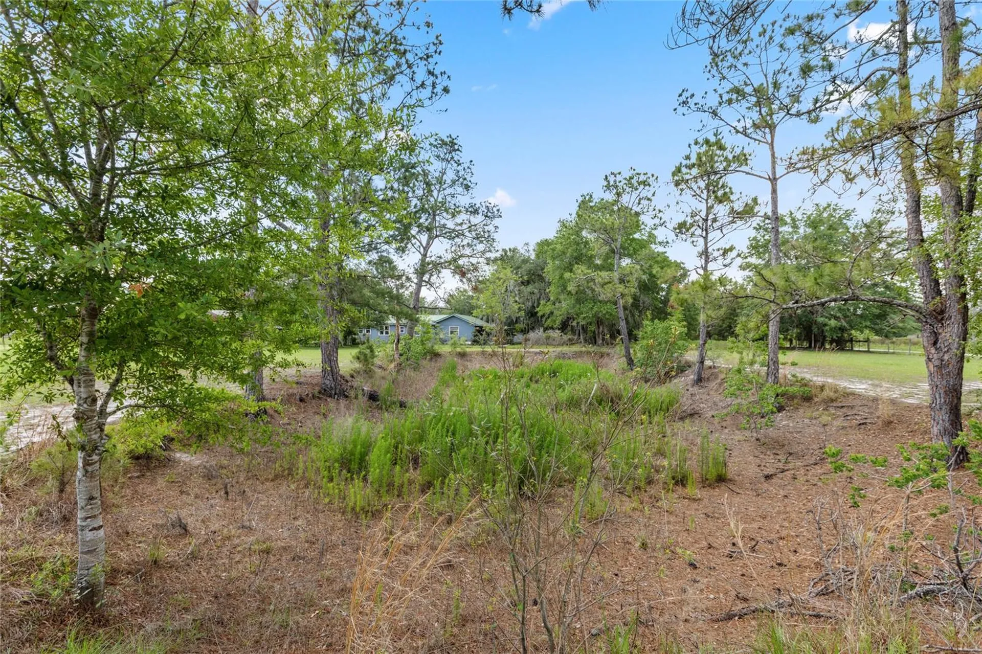 11115 SW 105th Street Brooker FL 32622