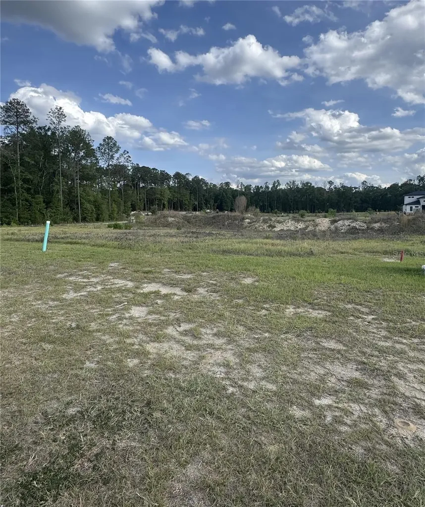 14759 SW 9th Lane Newberry FL 32669