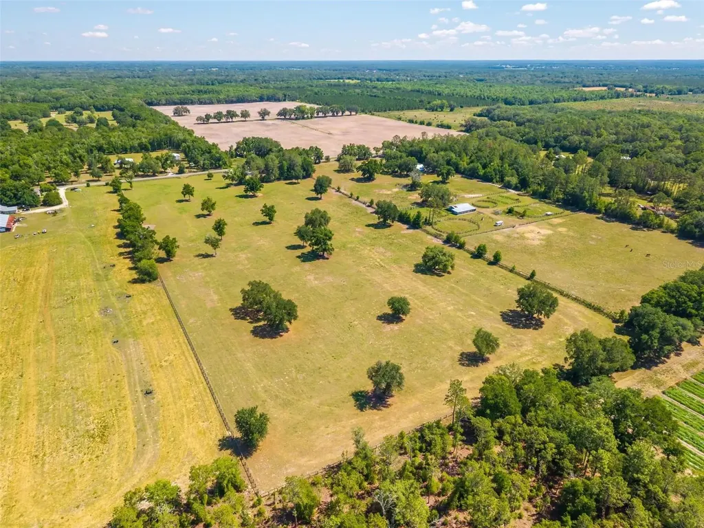 Tbd SE 42nd Place Morriston FL 32668