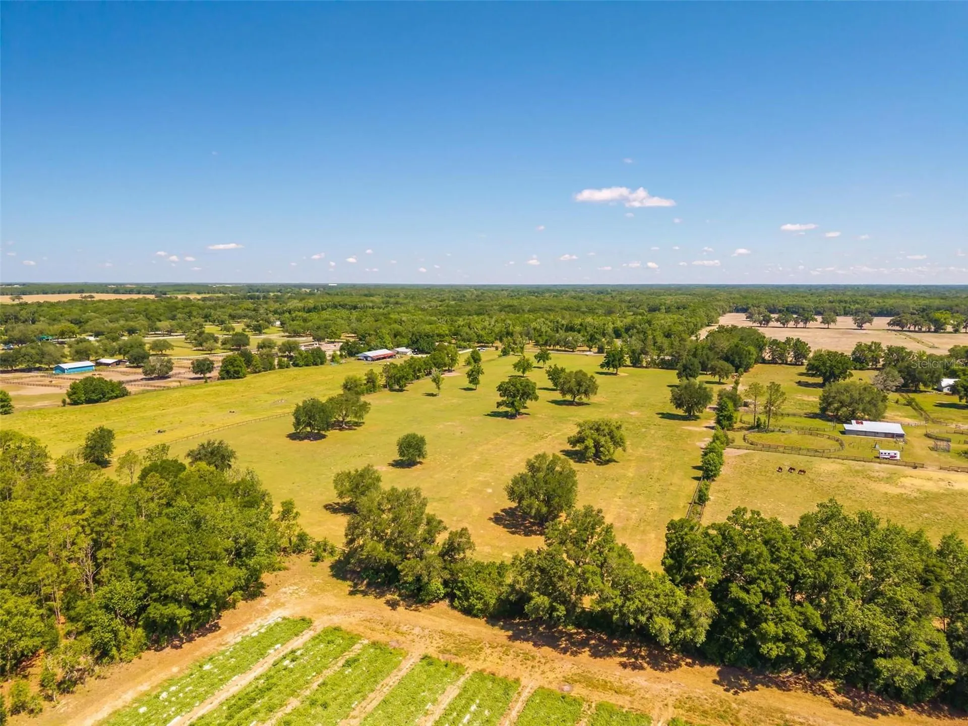 Tbd SE 42nd Place Morriston FL 32668