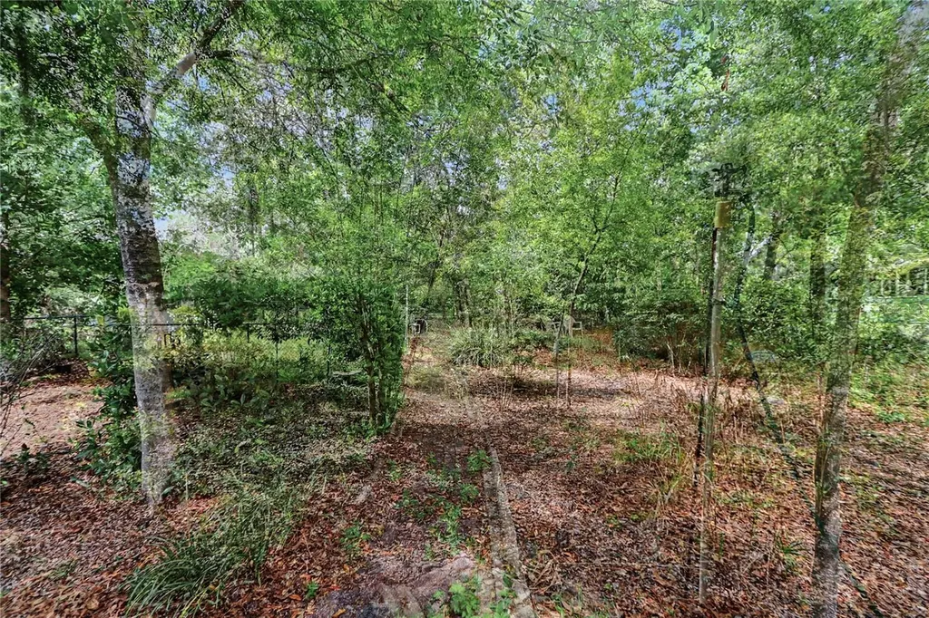 10908 SW 53rd Circle Ocala FL 34476