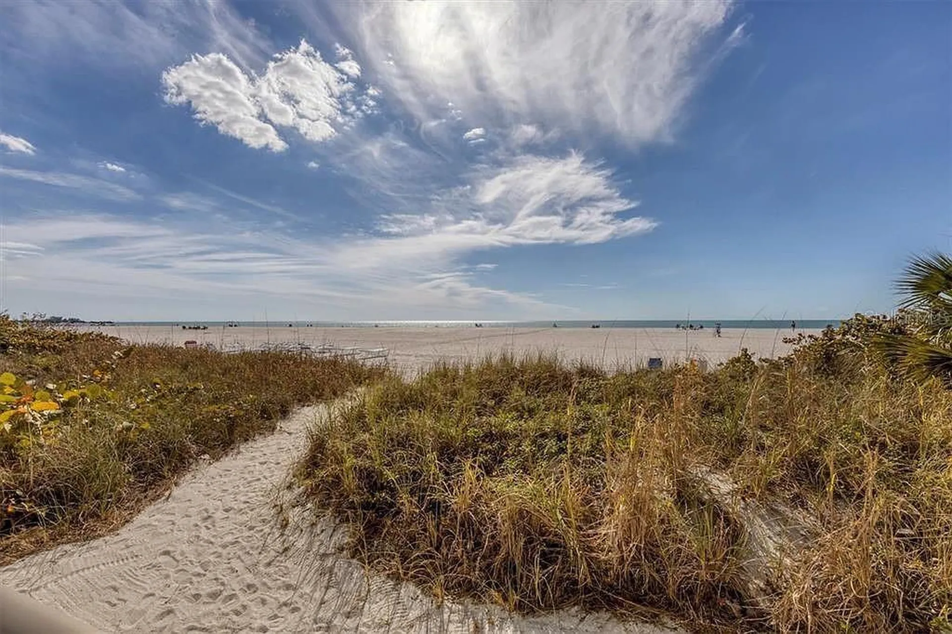 1100 Benjamin Franklin Drive Sarasota FL 34236