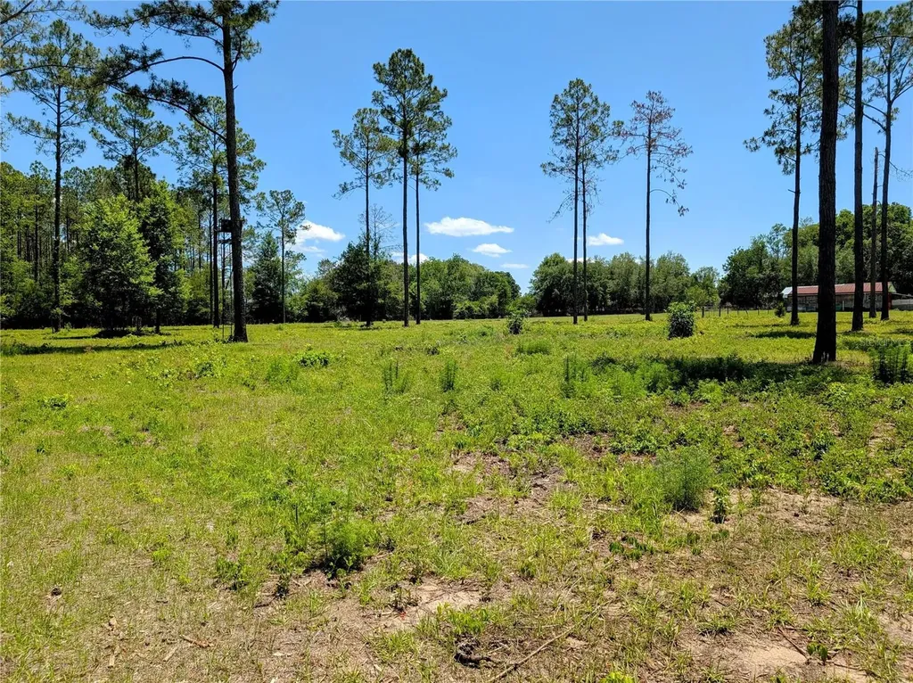 14421 NW 214th Terrace High Springs FL 32643