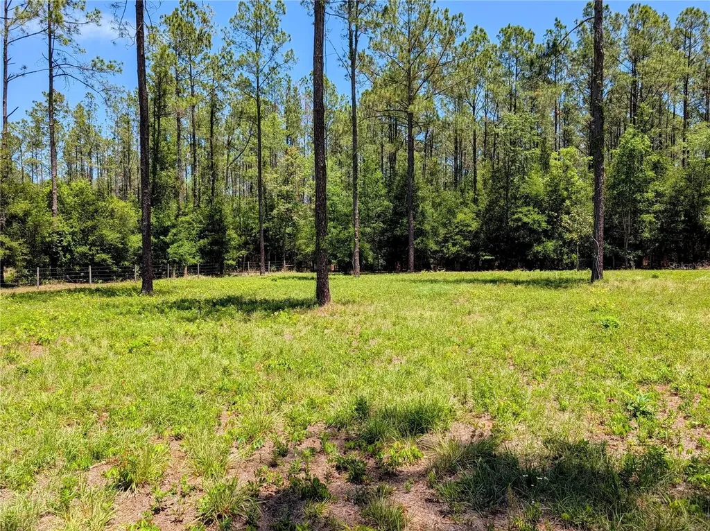 14421 NW 214th Terrace High Springs FL 32643