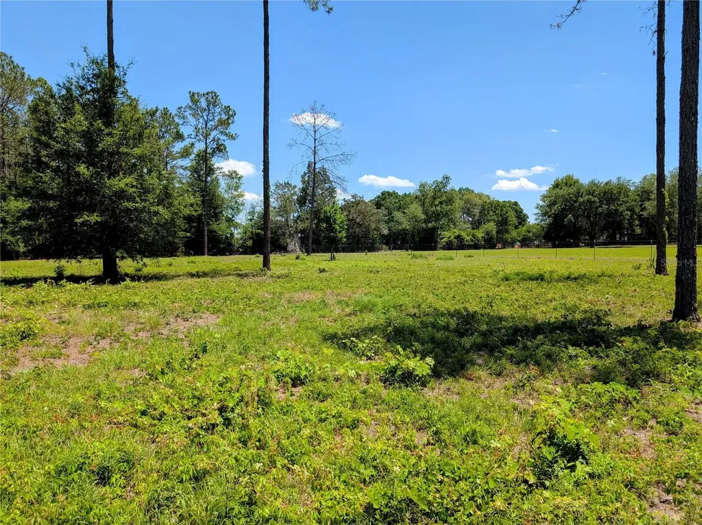 14421 NW 214th Terrace High Springs FL 32643
