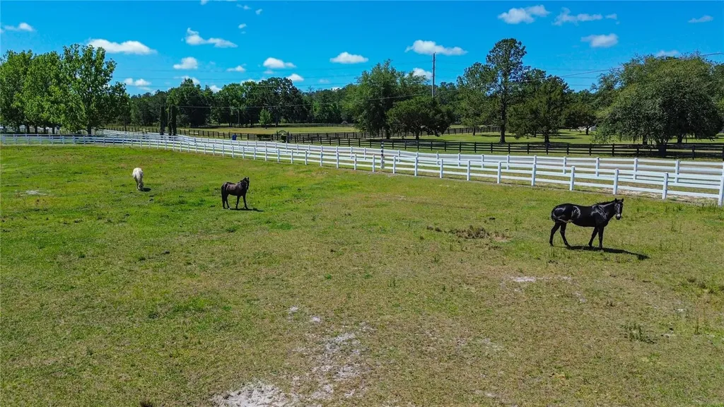 6489 Quarterhorse Lane Brooksville FL 34604