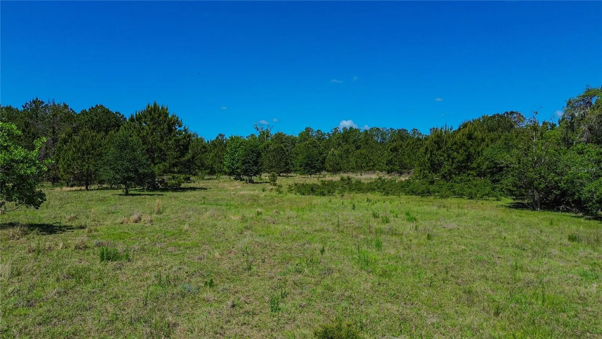 6489 Quarterhorse Lane Brooksville FL 34604