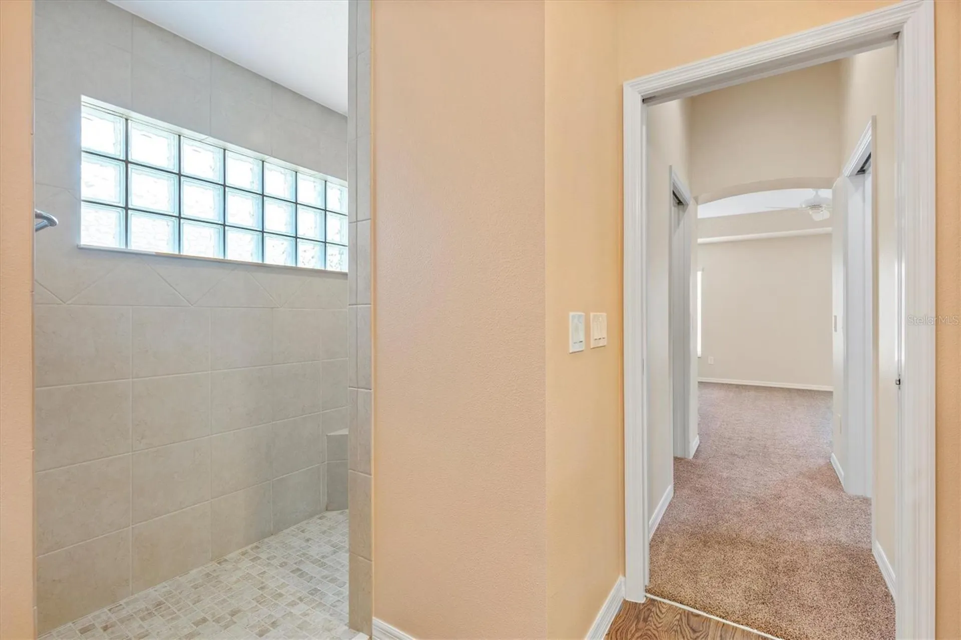 1443 Alesio Street The Villages FL 32163