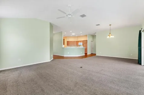 1443 Alesio Street The Villages FL 32163