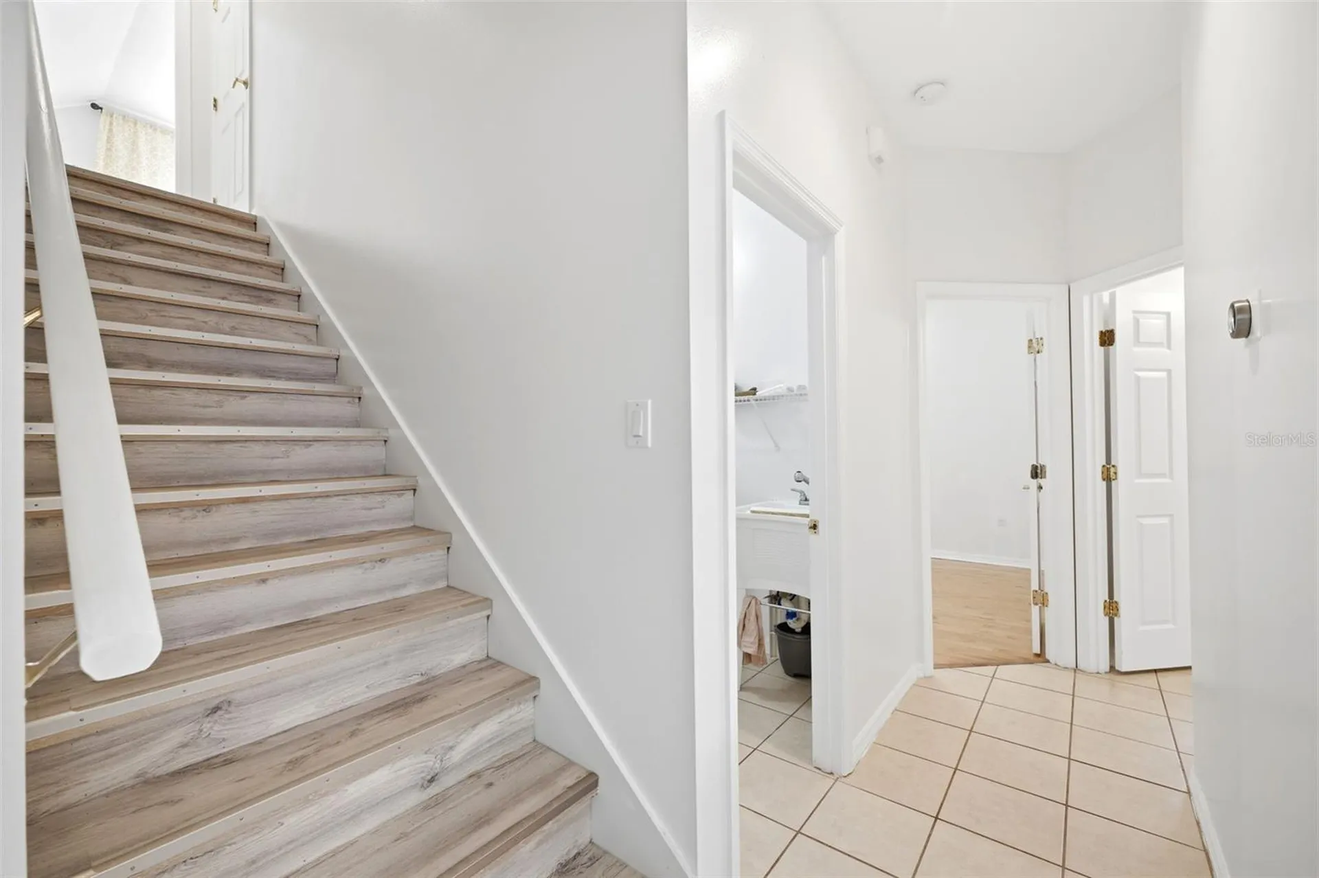 10209 Shadow Branch Drive Tampa FL 33647
