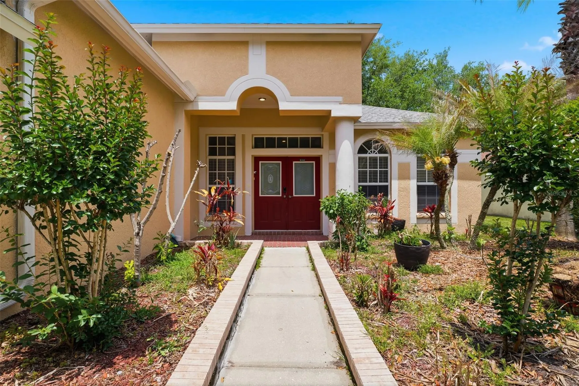 10209 Shadow Branch Drive Tampa FL 33647