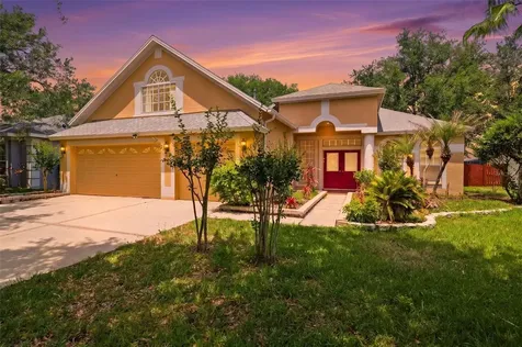 10209 Shadow Branch Drive Tampa FL 33647