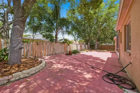 10209 Shadow Branch Drive Tampa FL 33647