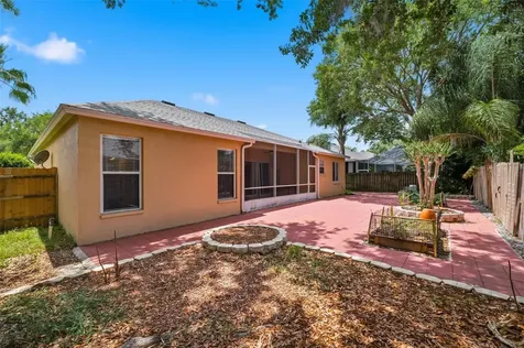 10209 Shadow Branch Drive Tampa FL 33647