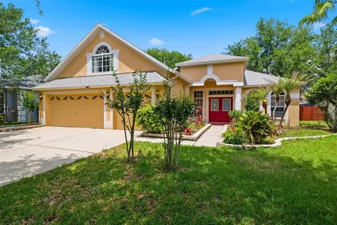 10209 Shadow Branch Drive Tampa FL 33647