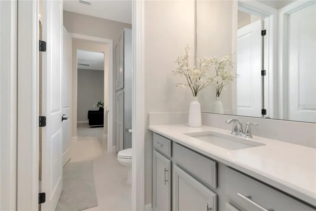 2686 Meander Cove Wesley Chapel FL 33543